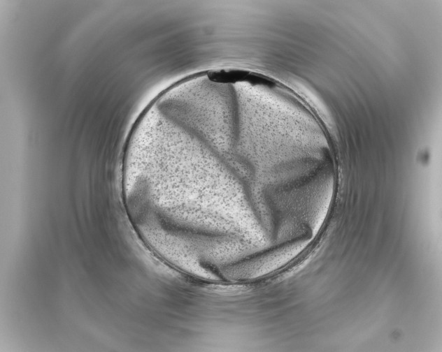 X0000093581340200711121052