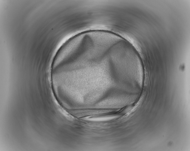 X0000093581342200711121052