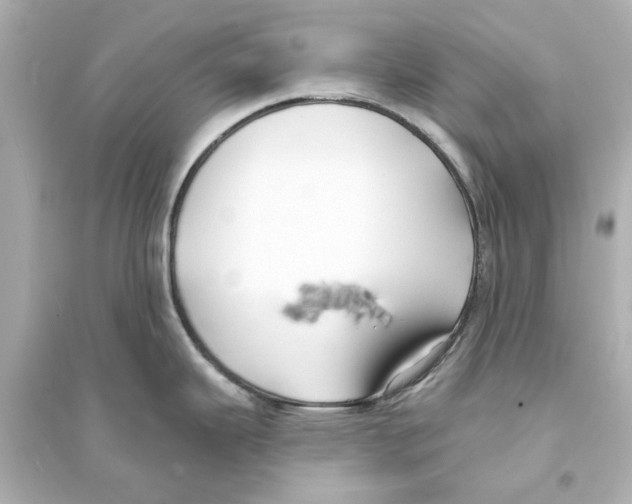 X0000093581343200711121052