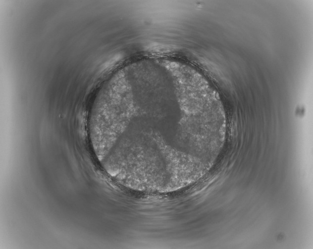 X0000093581346200711121051