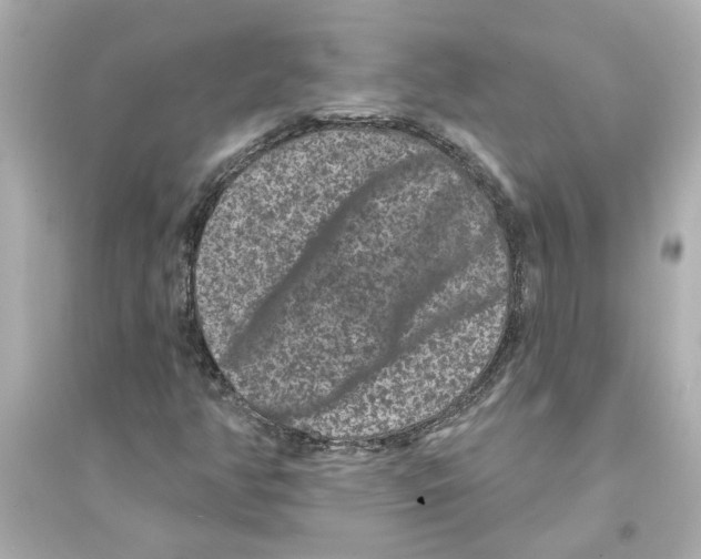 X0000093581350200711121051