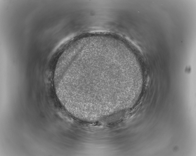 X0000093581351200711121051