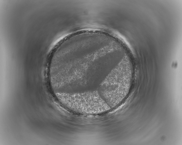 X0000093581352200711121051