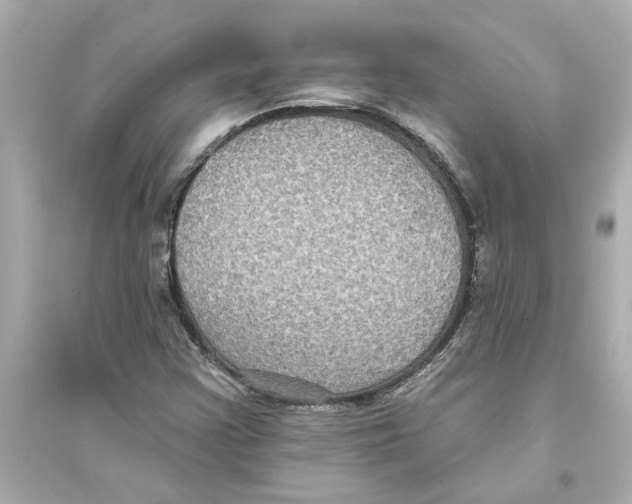 X0000093581355200711121051