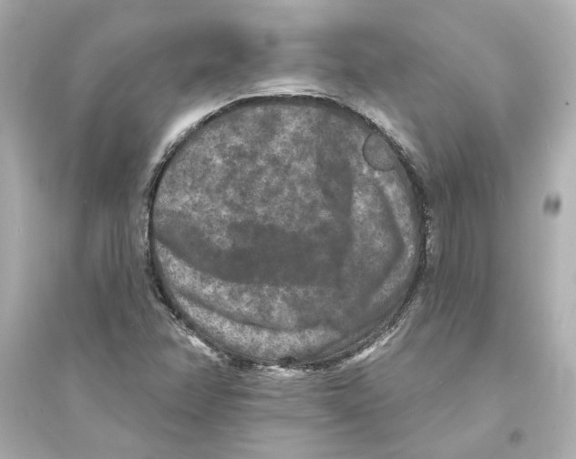 X0000093581358200711121051