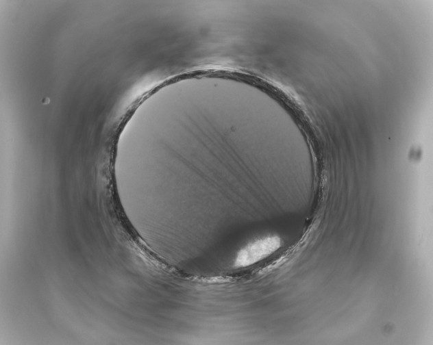 X0000093581359200711121051