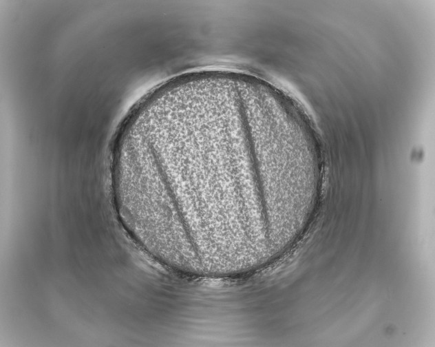 X0000093581360200711121051