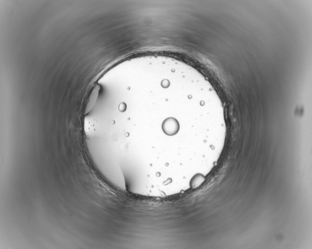 X0000093581361200711121051