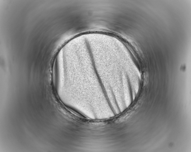 X0000093581363200711121051