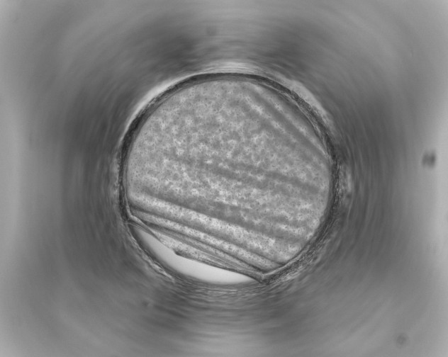 X0000093581364200711121051