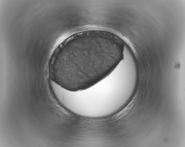 X0000093581365200711121051