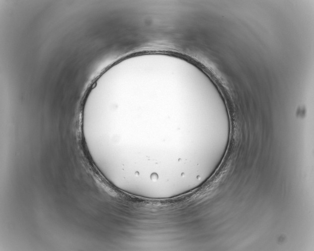 X0000093581366200711121051