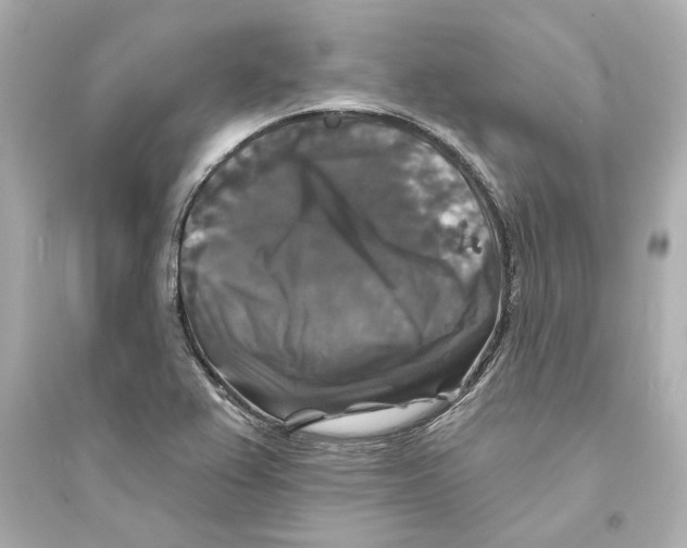 X0000093581367200711121051