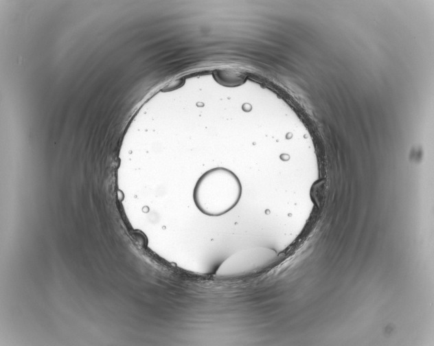 X0000093581369200711121051