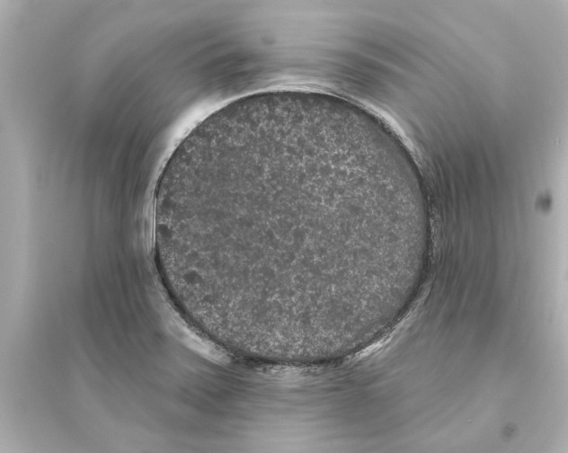 X0000093581371200711121051