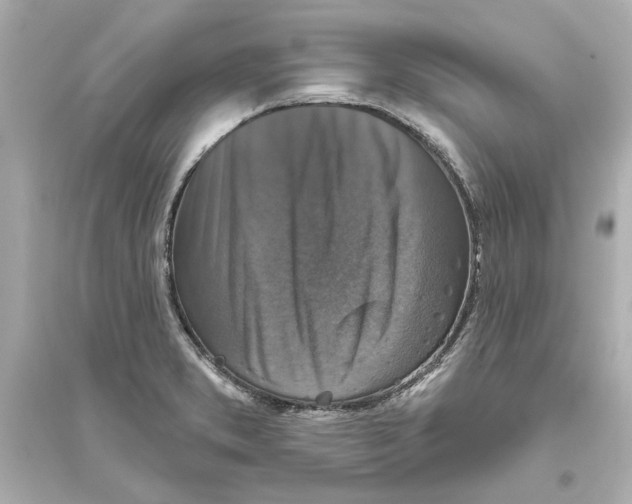 X0000093581373200711121051