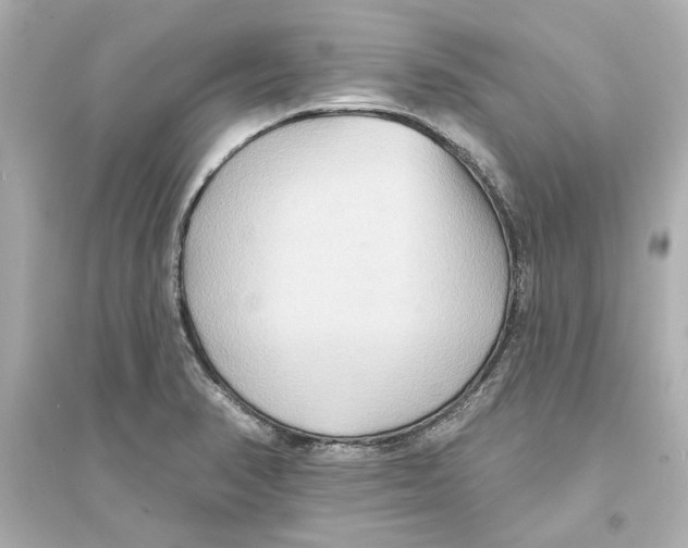 X0000093581374200711121051