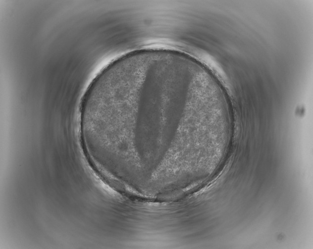 X0000093581376200711121051