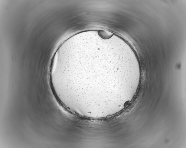 X0000093581379200711121051