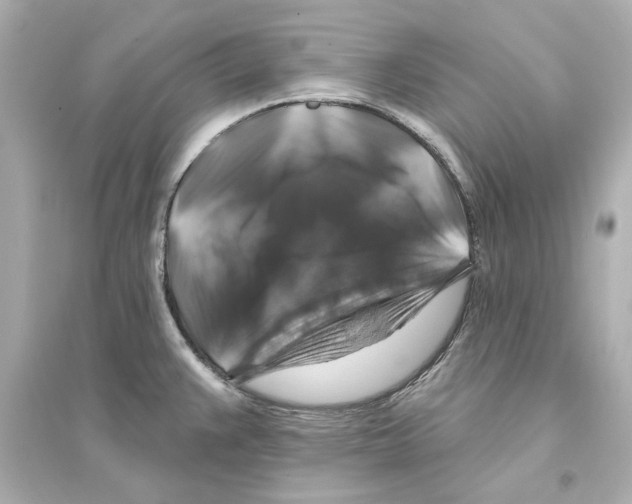 X0000093581383200711121050