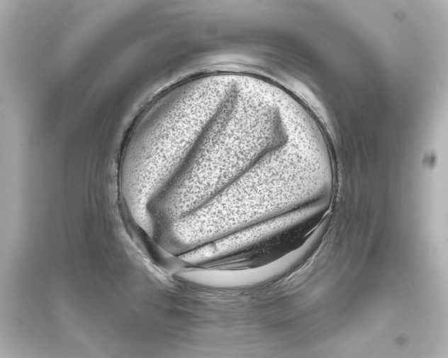 X0000093581384200711121050