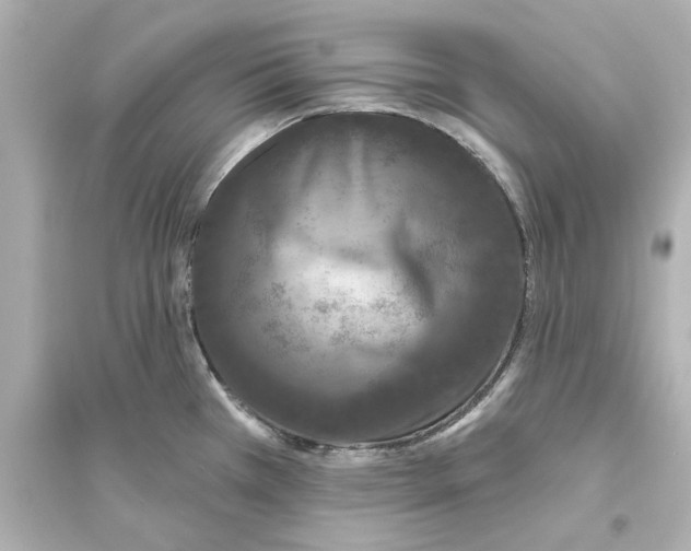 X0000093581385200711121050