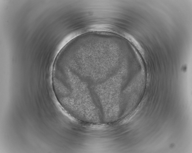 X0000093581386200711121050