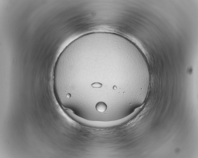 X0000093581387200711121050