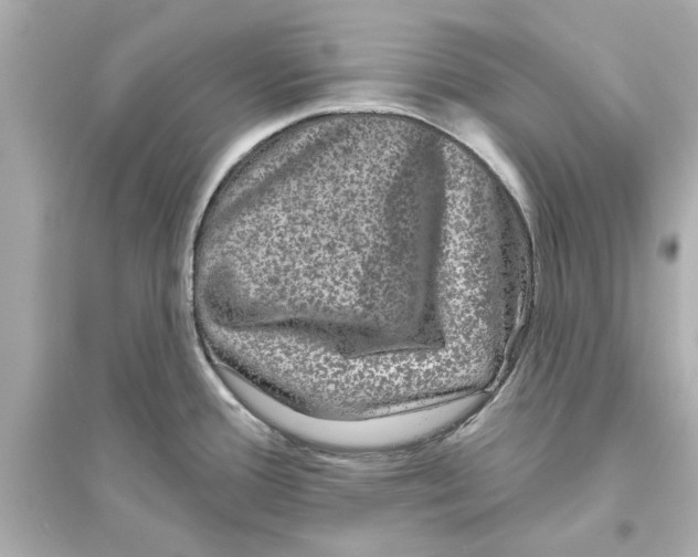 X0000093581388200711121050