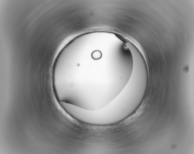 X0000093581389200711121050