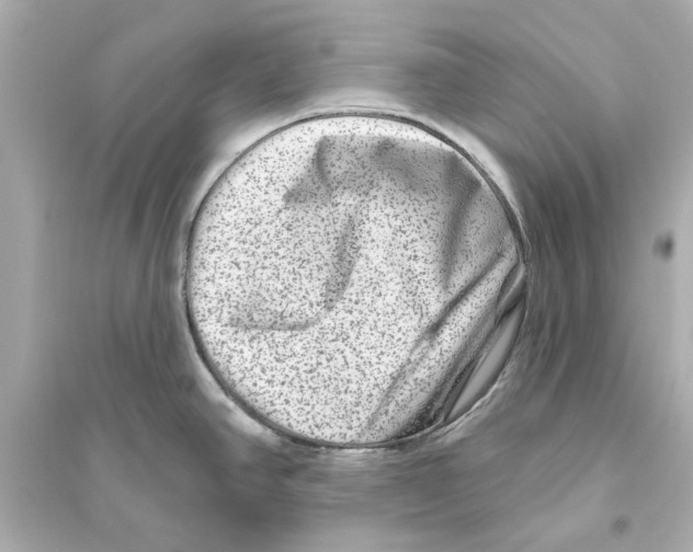 X0000093581390200711121050