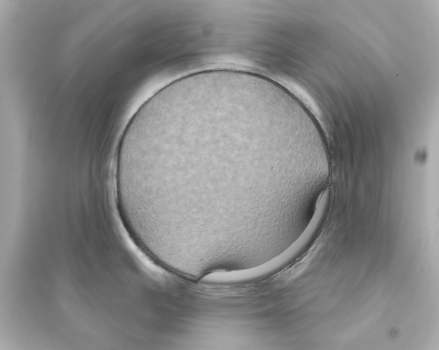 X0000093581391200711121050