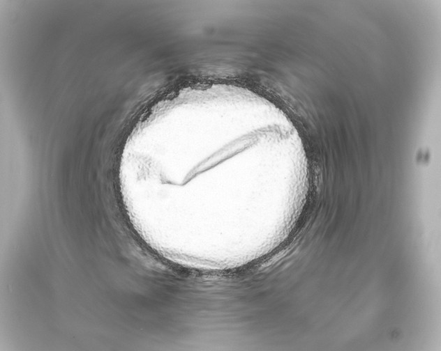 X0000093581393200711121050