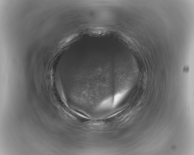 X0000093581394200711121050