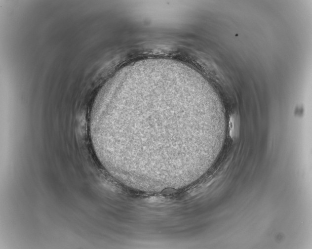 X0000093581395200711121050