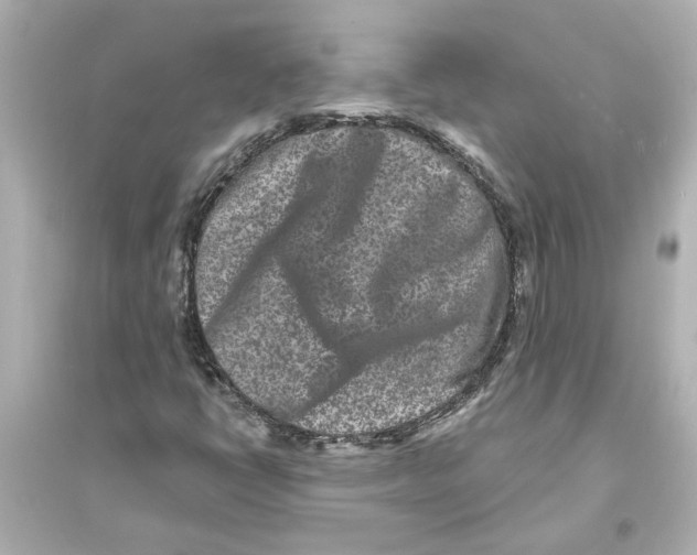 X0000093581398200711121050