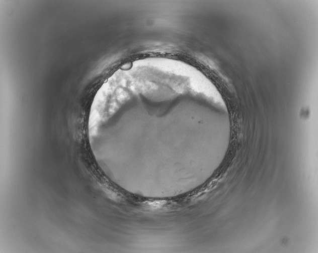 X0000093581399200711121050