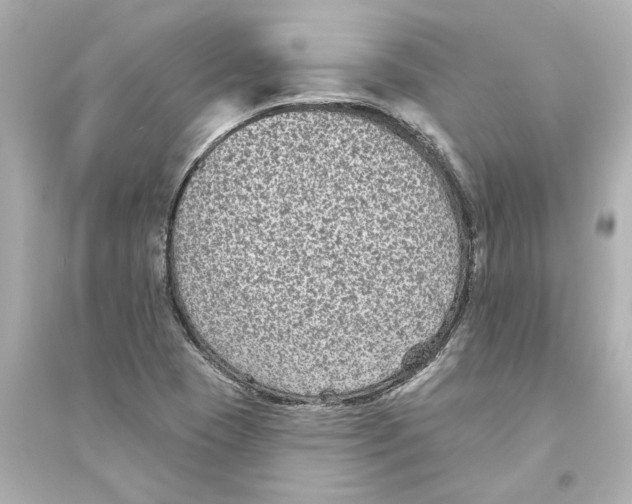 X0000093581409200711121050