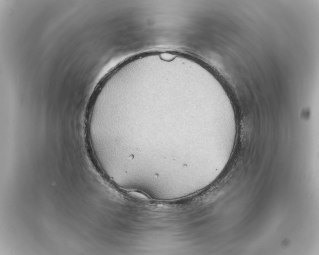 X0000093581412200711121050