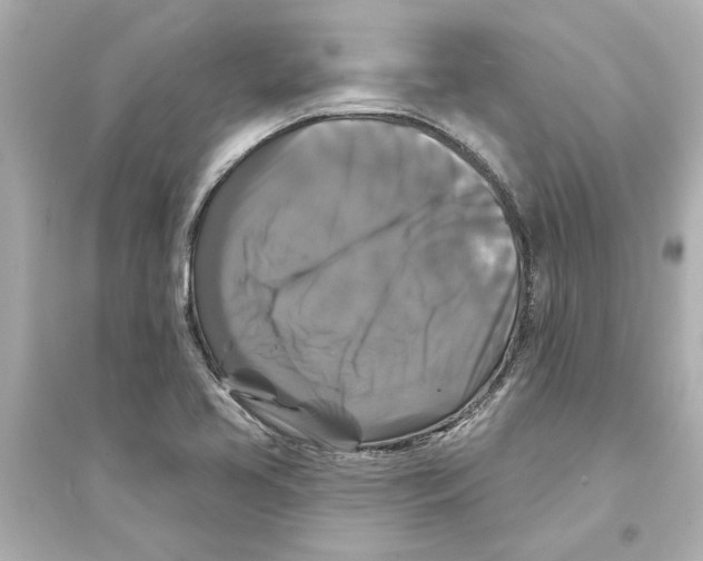 X0000093581413200711121050