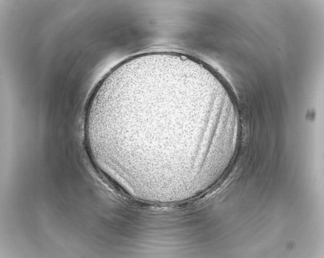 X0000093581415200711121050