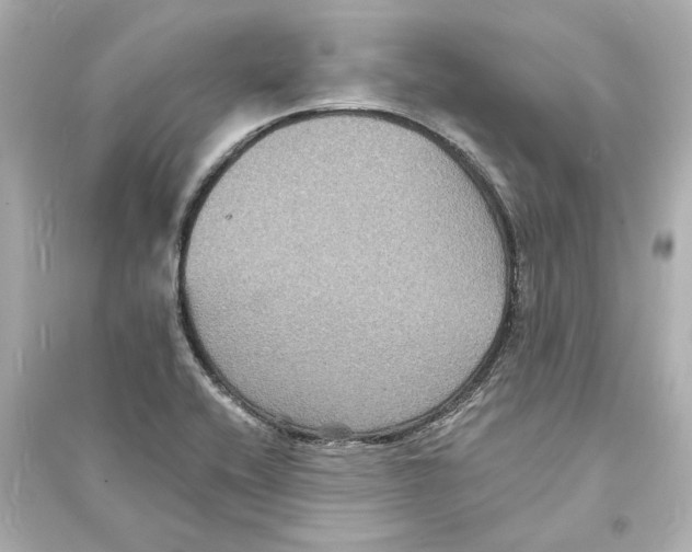 X0000093581416200711121050