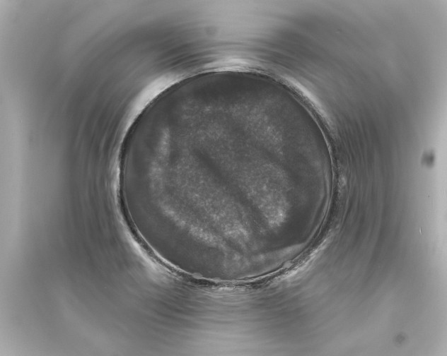 X0000093581418200711121050