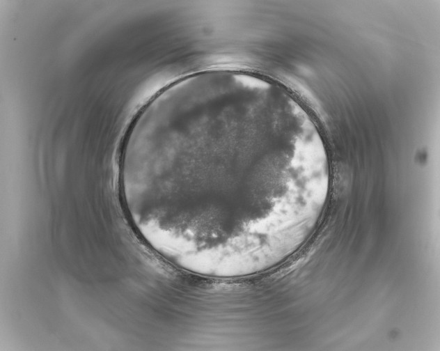 X0000093581419200711121050