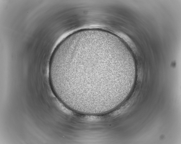 X0000093581420200711121050