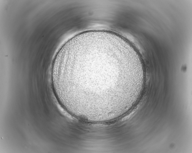 X0000093581421200711121050