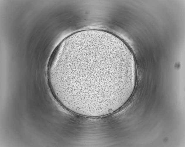 X0000093581423200711121050