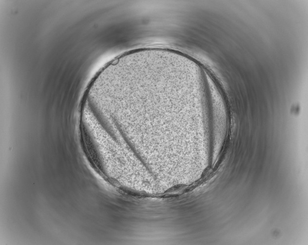 X0000093581424200711121050