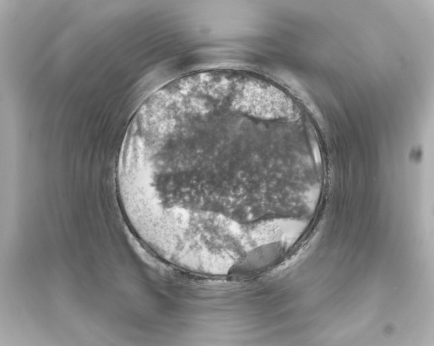 X0000093581425200711121050