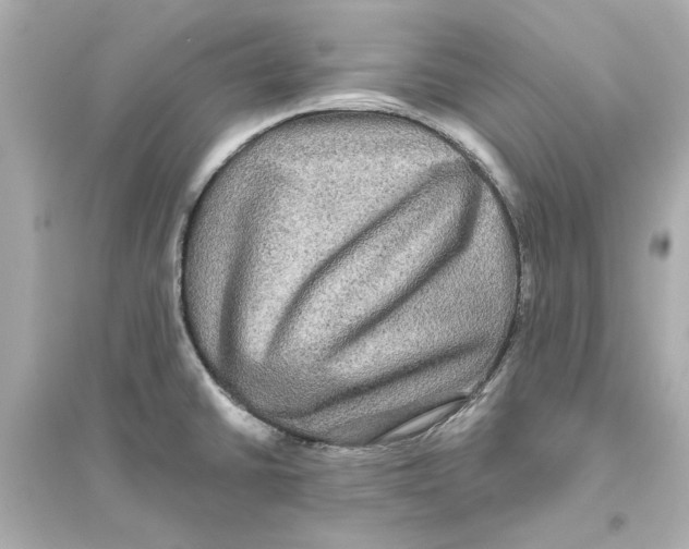 X0000093581430200711121050